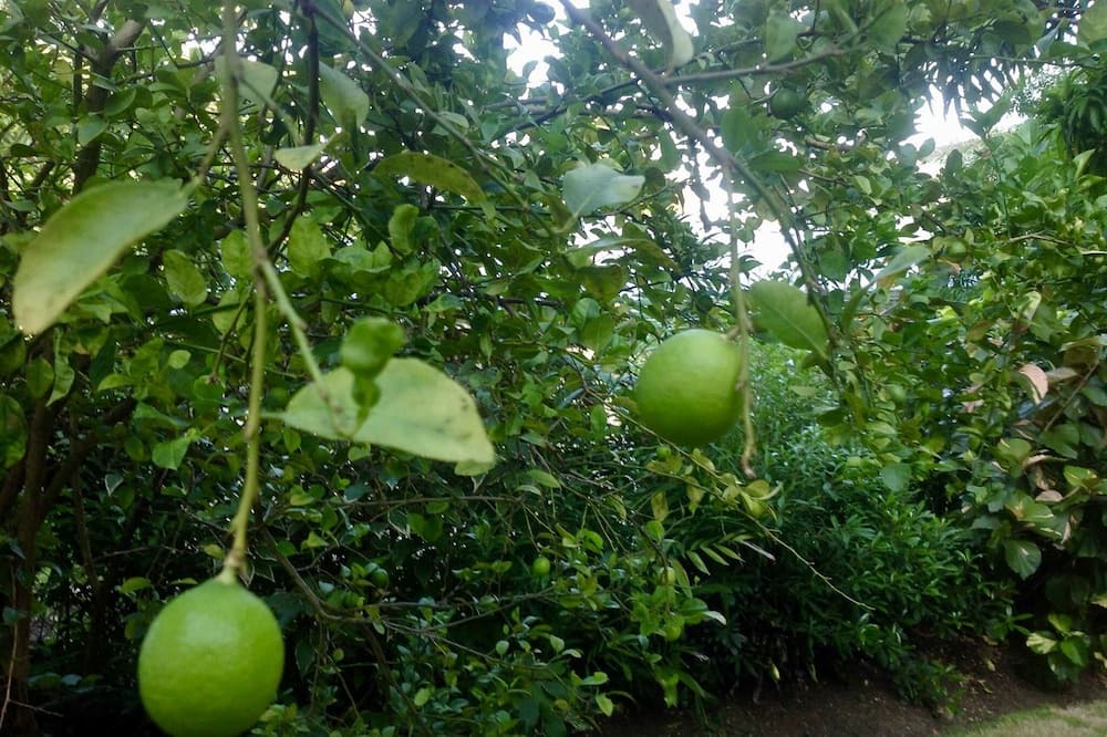 Photo of Outdoor in Gibbes