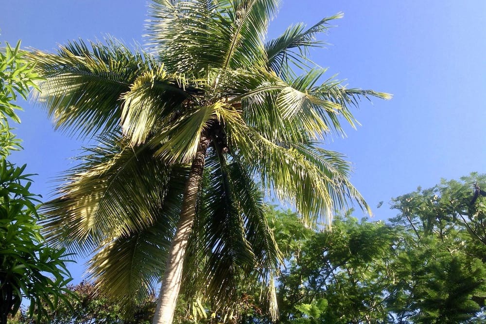 Photo of Outdoor in Gibbes