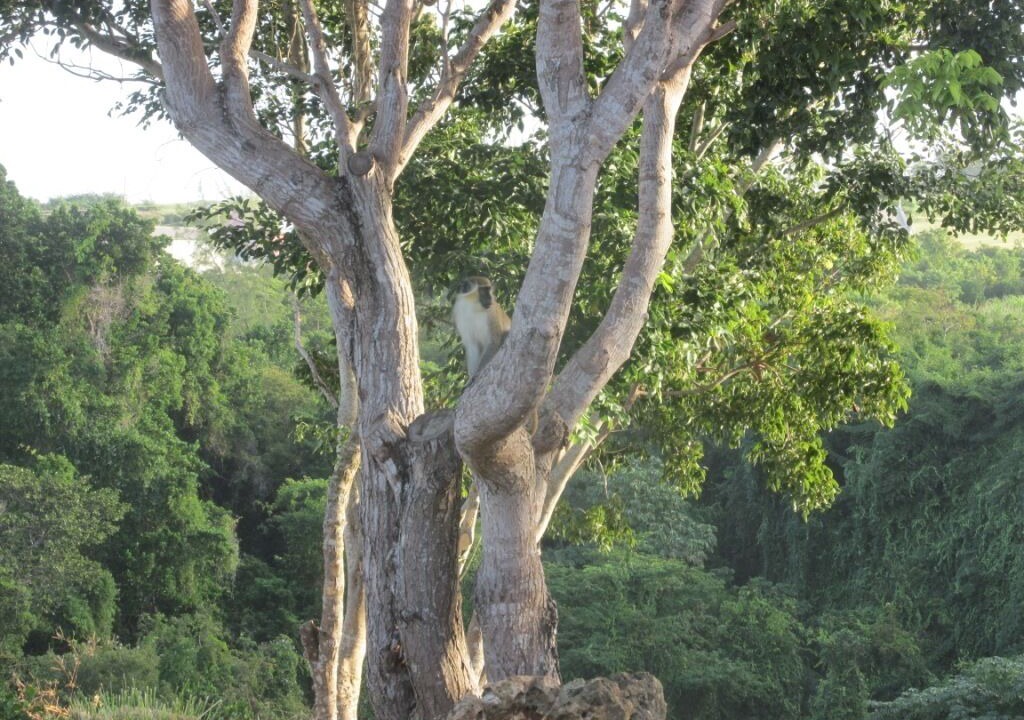 Photo of Outdoor in Vuemont