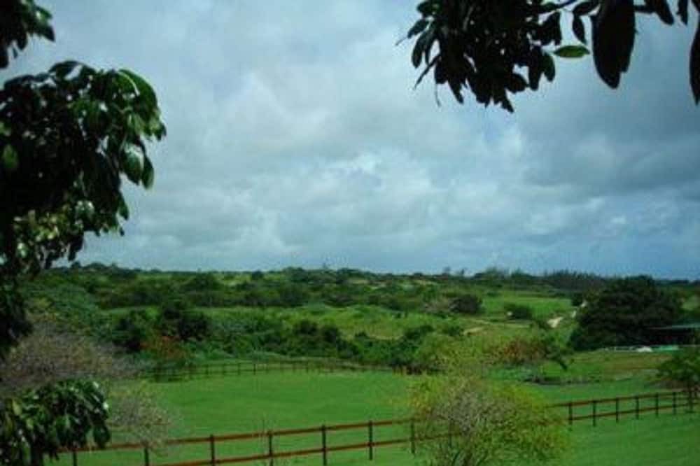 Photo of Outdoor in Merlin Bay