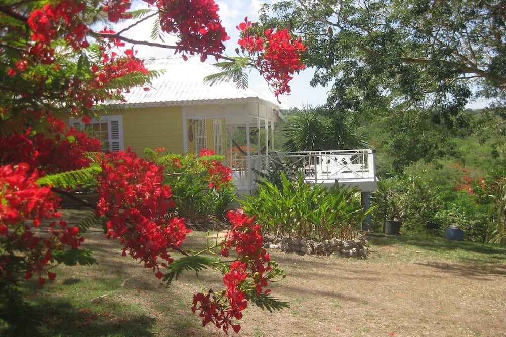 Photo of Outdoor in Merlin Bay