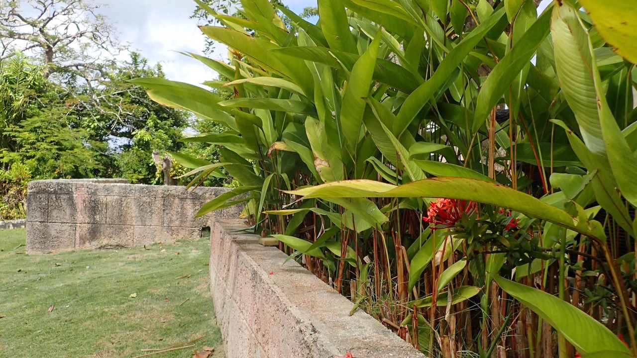 Photo of Outdoor in Apes Hill