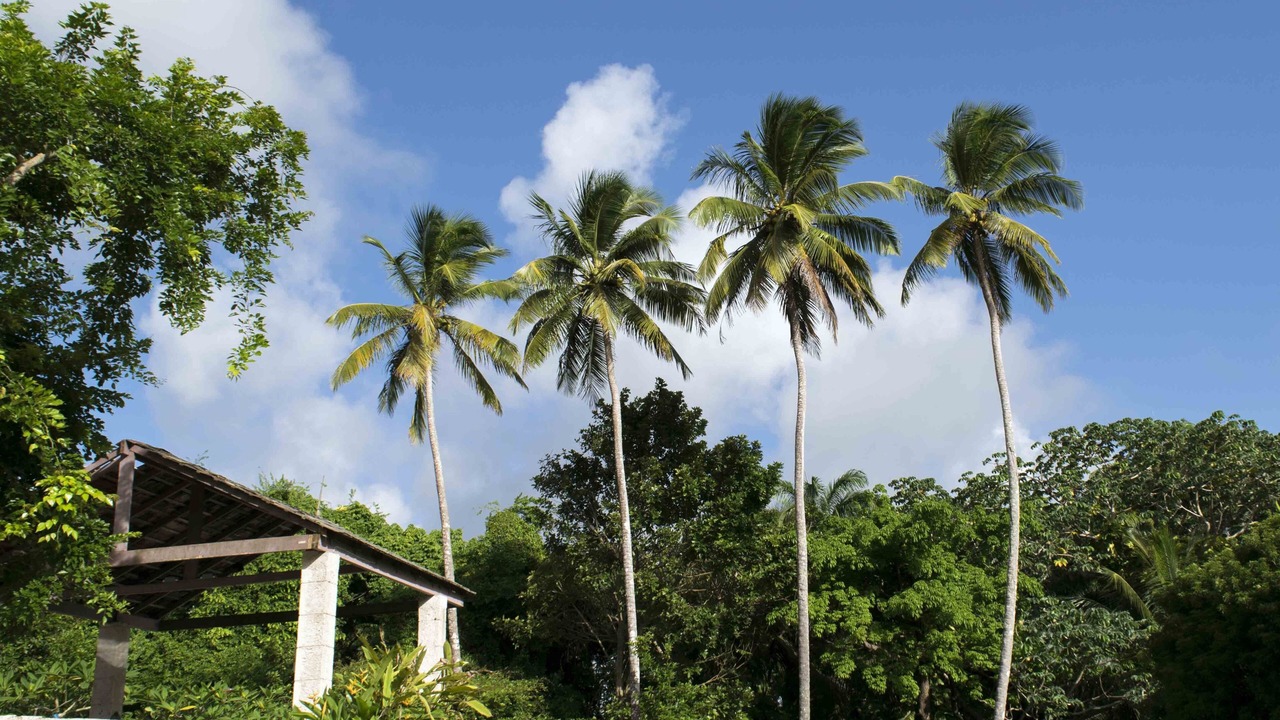 Photo of Outdoor in Apes Hill