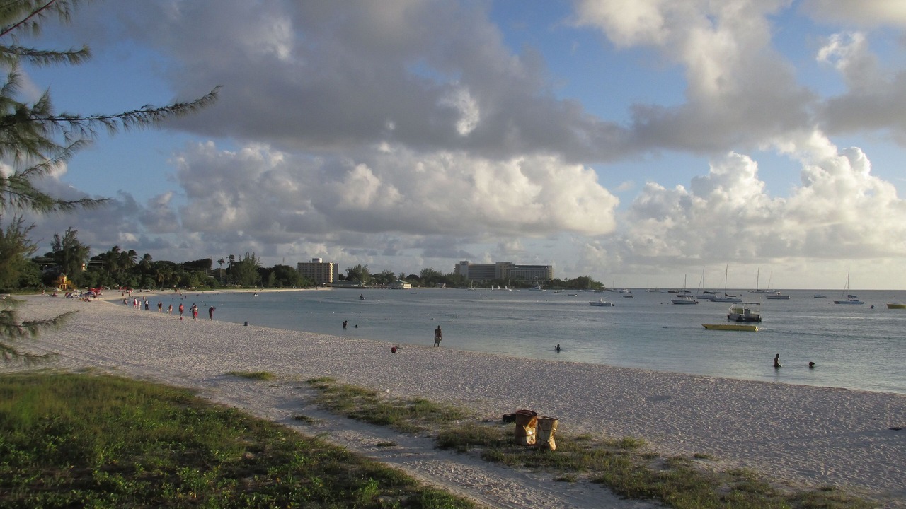 Photo of Others in Bridgetown