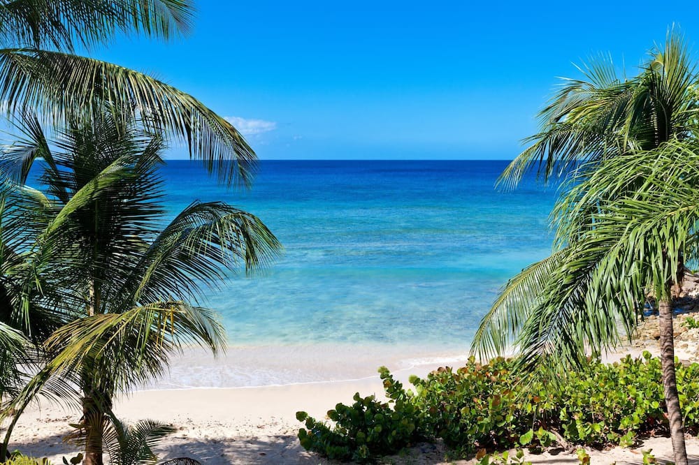 Photo of Outdoor in Speightstown
