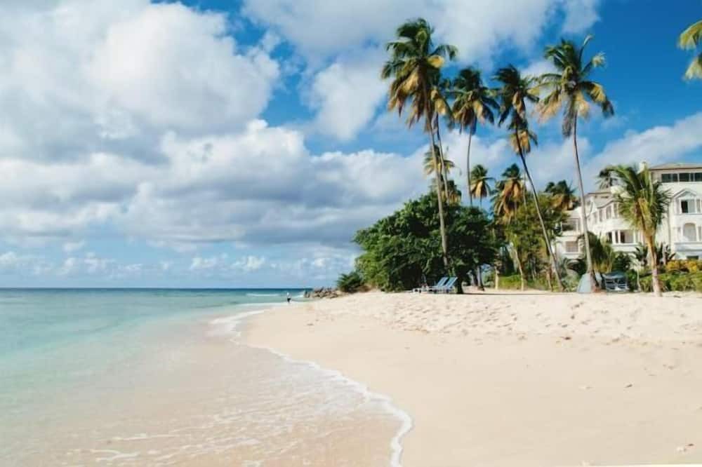 Photo of Outdoor in Speightstown