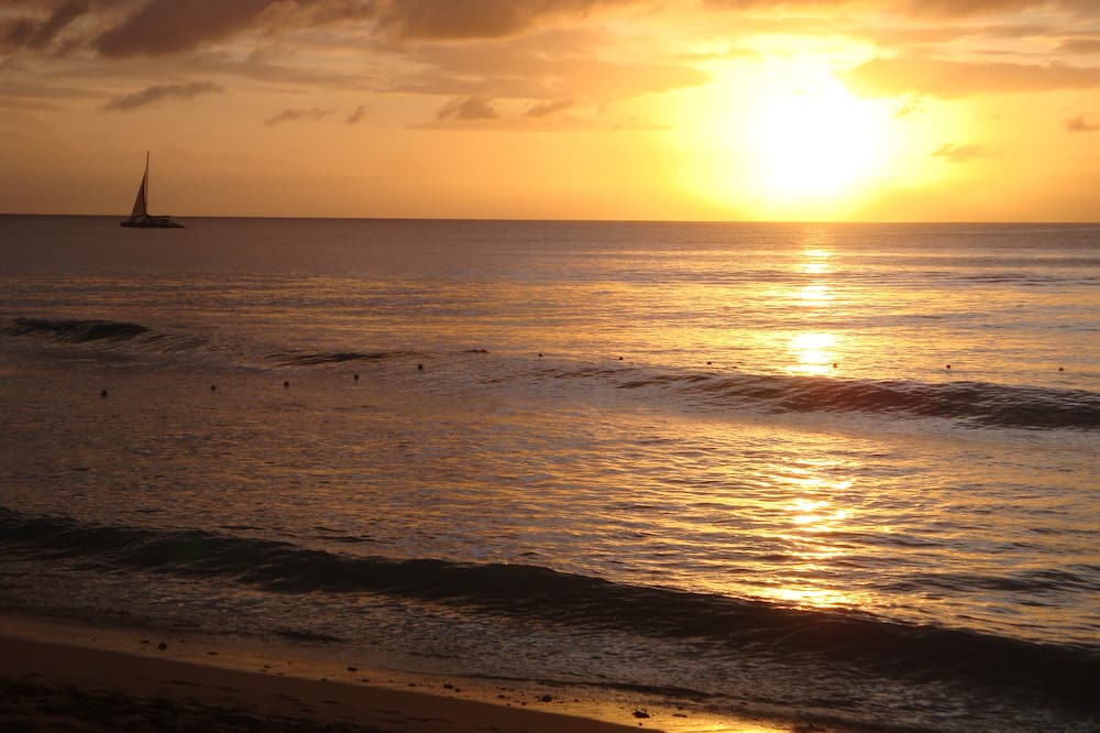 Photo of Others in Gibbs Bay