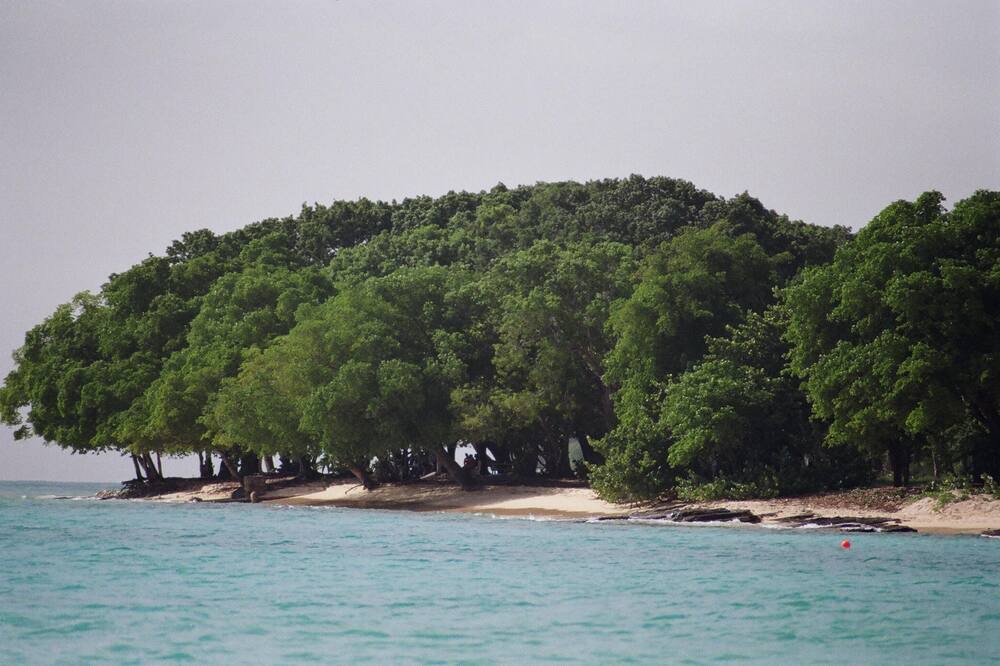 Photo of Others in Gibbs Bay