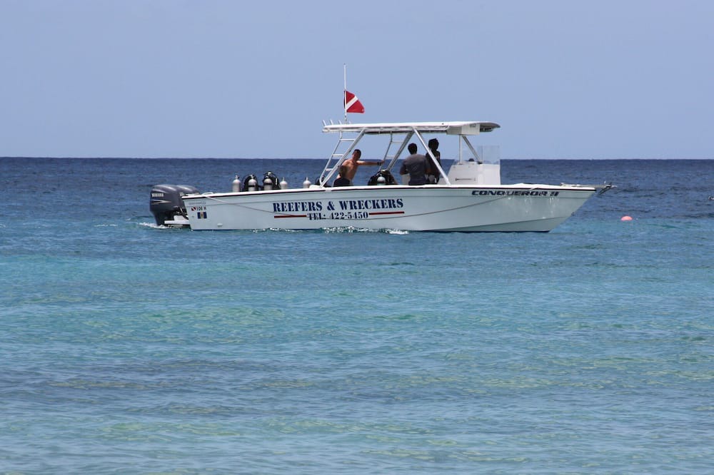 Photo of Others in Gibbs Bay