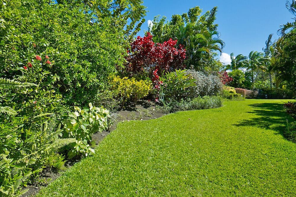 Photo of Outdoor in Sandy Lane