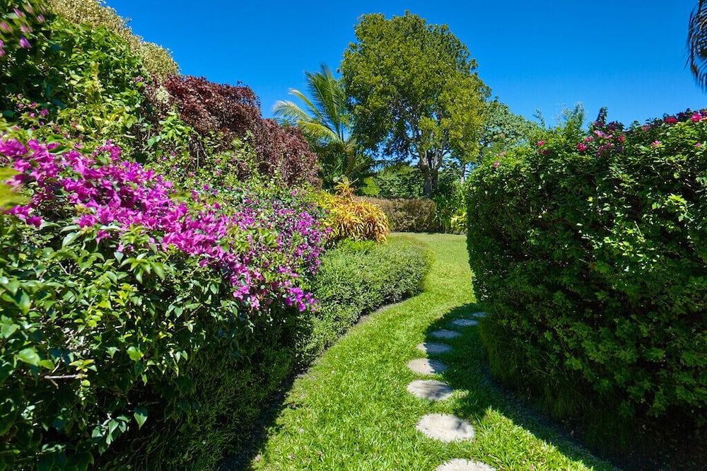 Photo of Outdoor in Sandy Lane