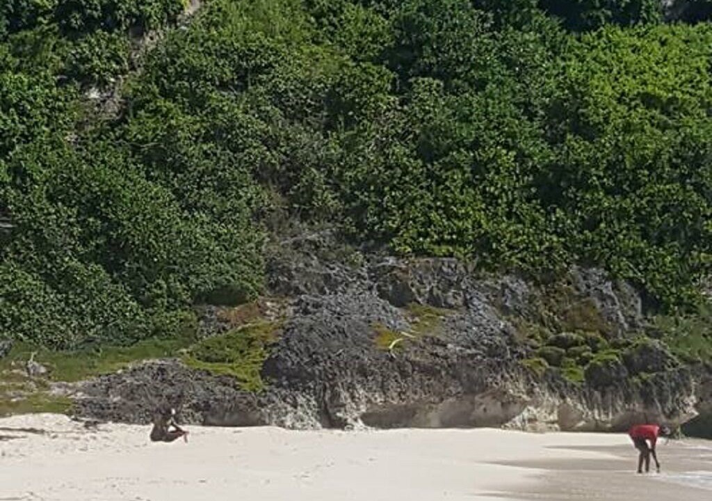 Photo of Others in West Coast