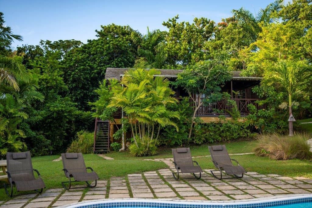 Photo of Outdoor in Surinam