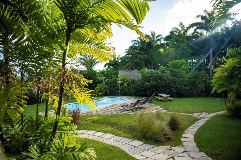 Photo of Outdoor in Surinam
