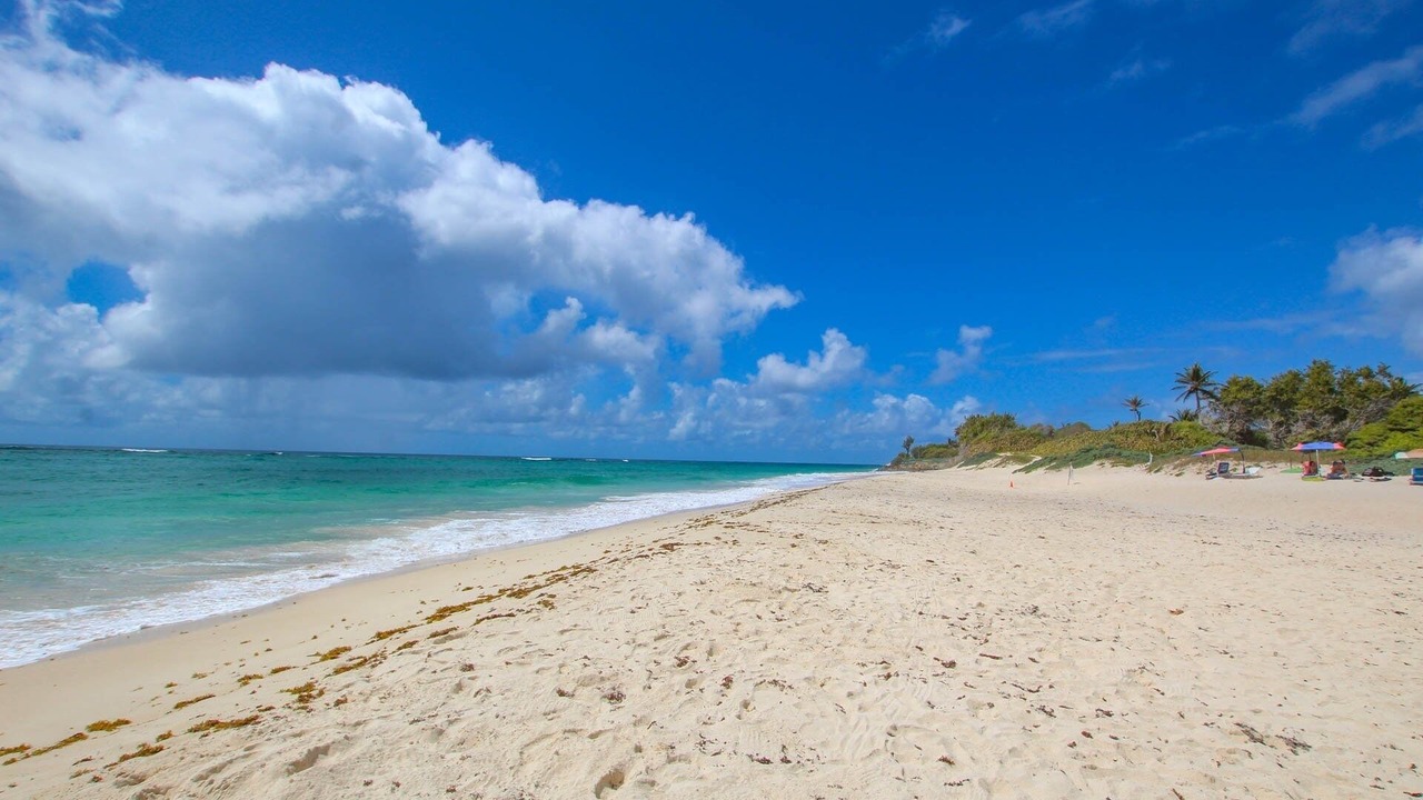 Photo of Others in Silver Sands