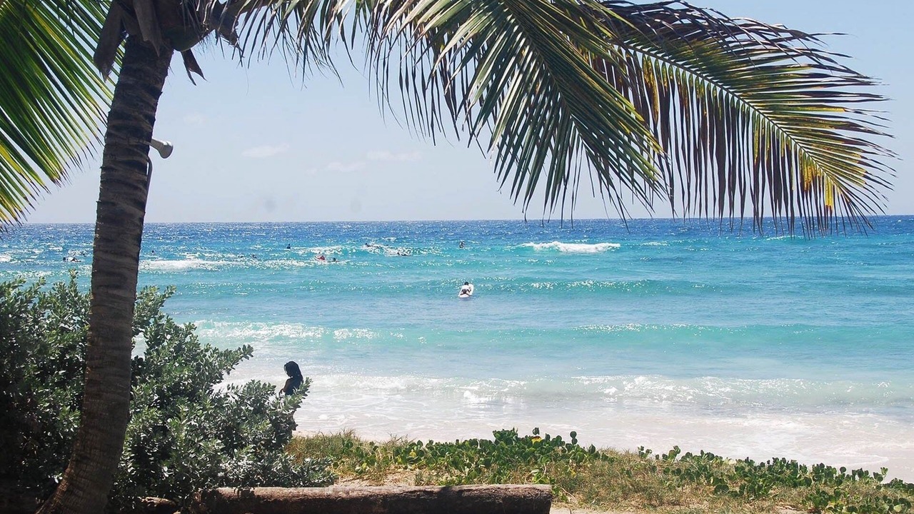 Photo of Others in Silver Sands
