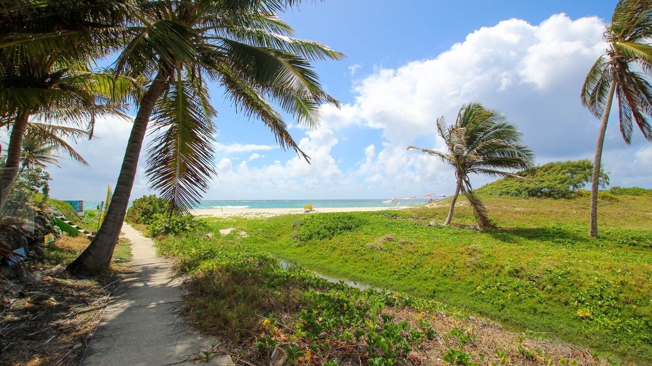 Photo of Others in Silver Sands