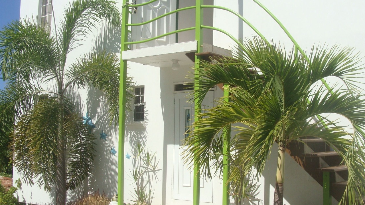 Photo of Outdoor in Durants