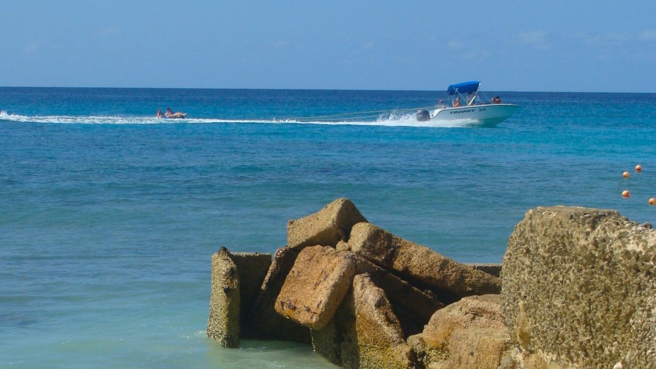 Photo of Others in Durants