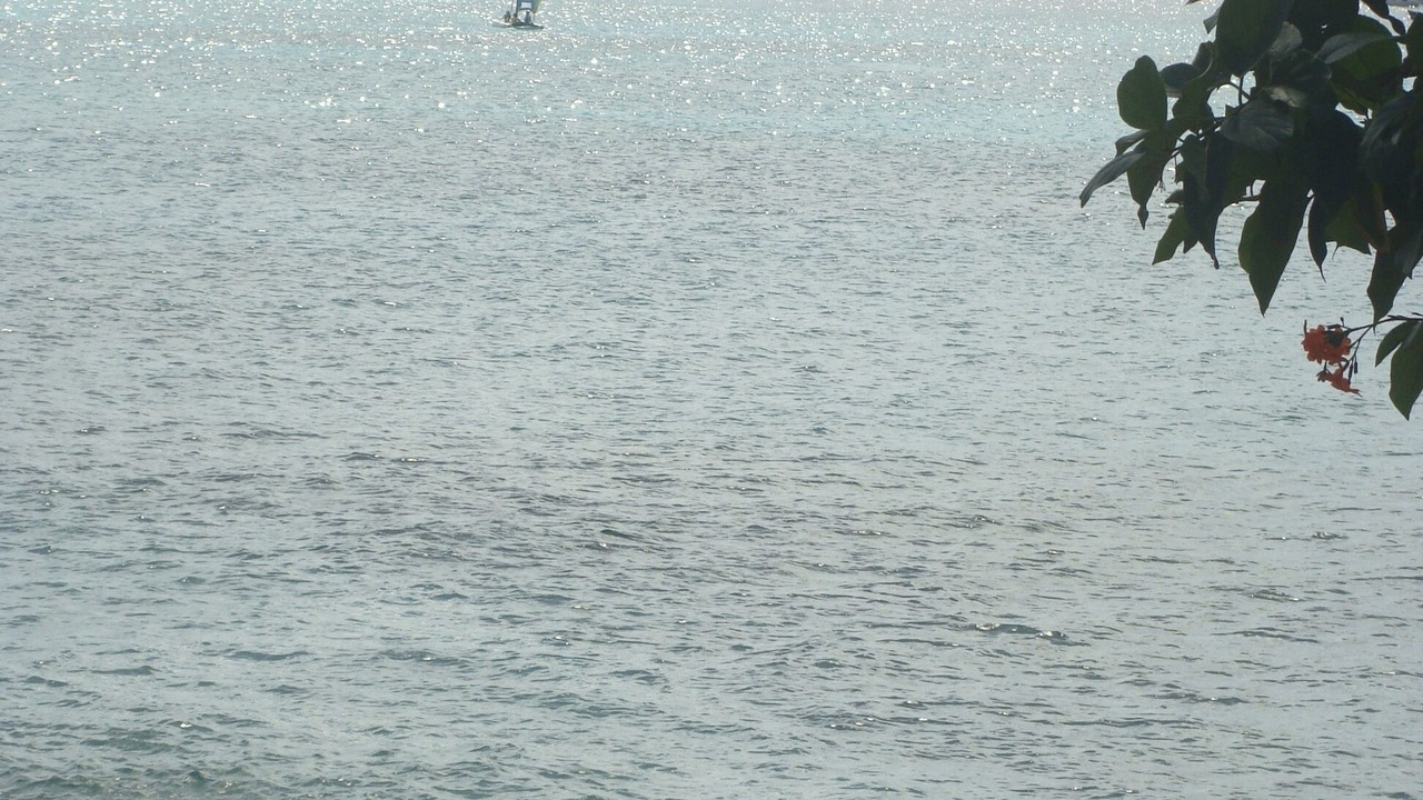 Photo of Others in Durants