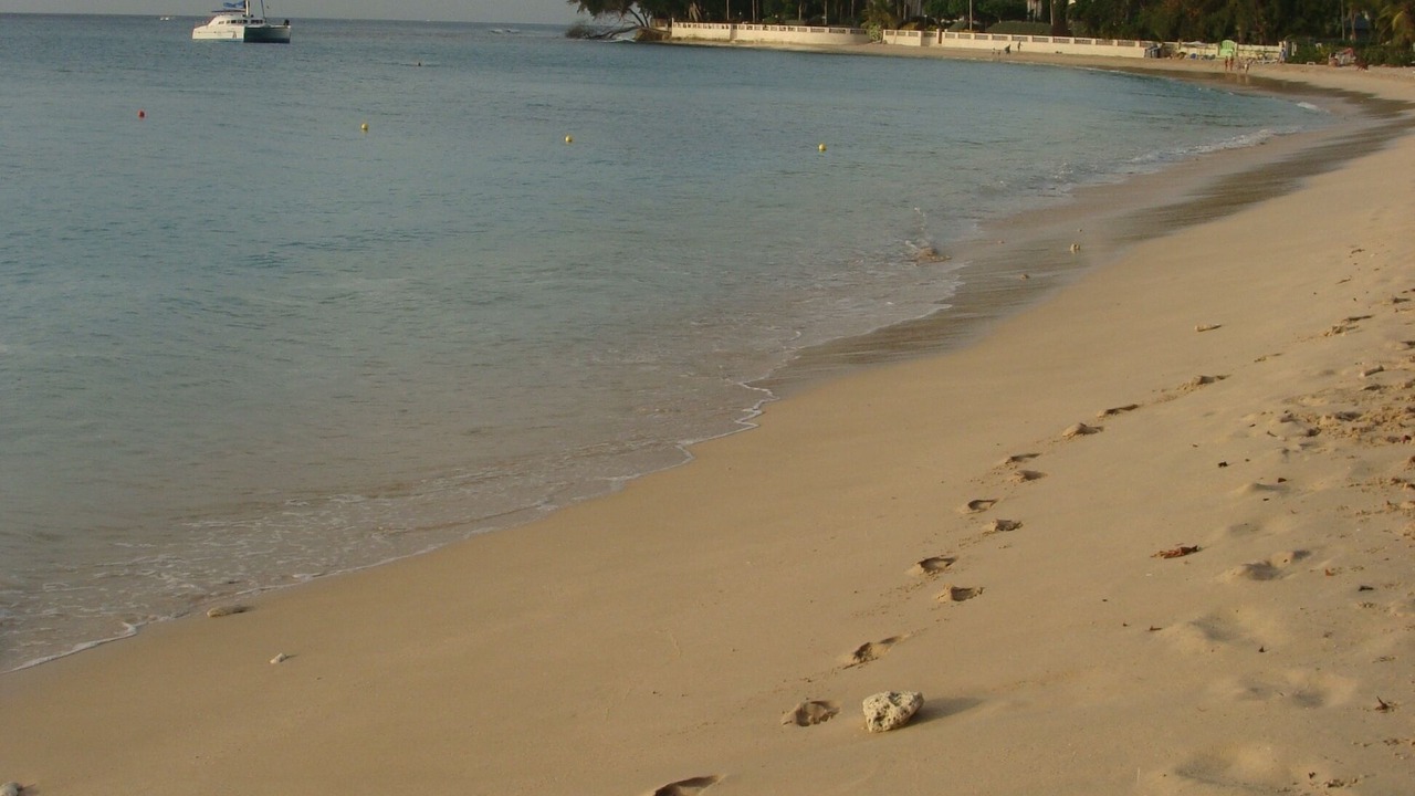 Photo of Others in Durants