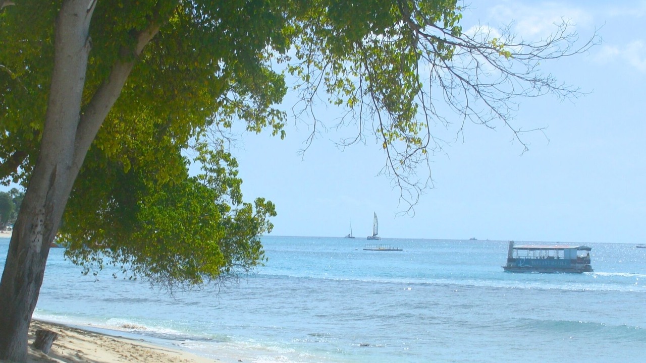 Photo of Others in Durants