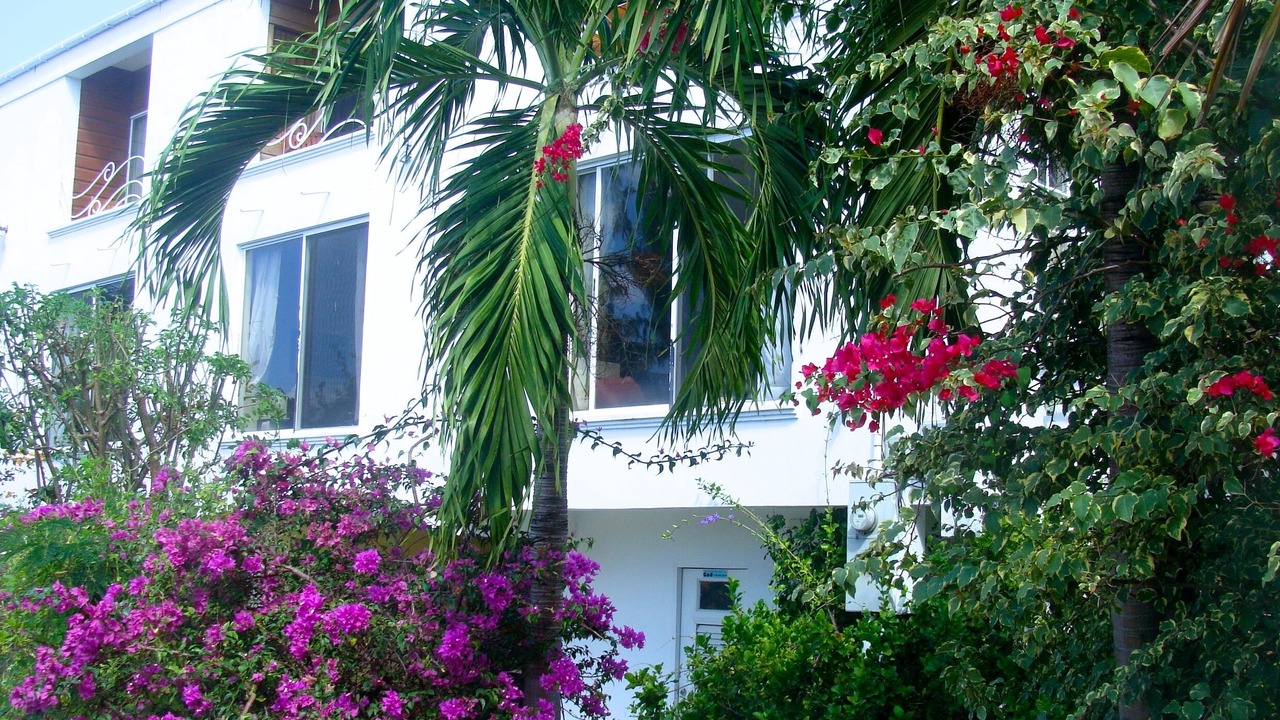 Photo of Outdoor in Durants
