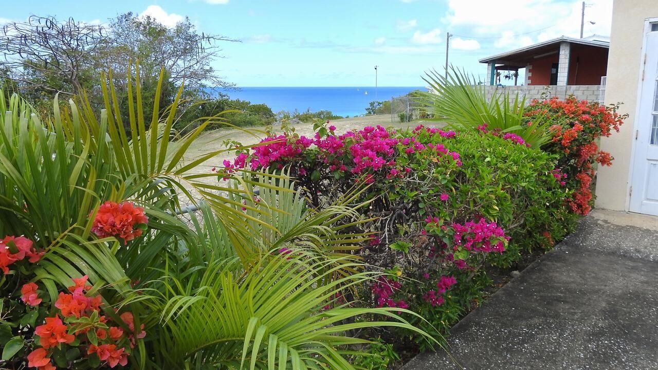 Photo of Outdoor in West Terrace