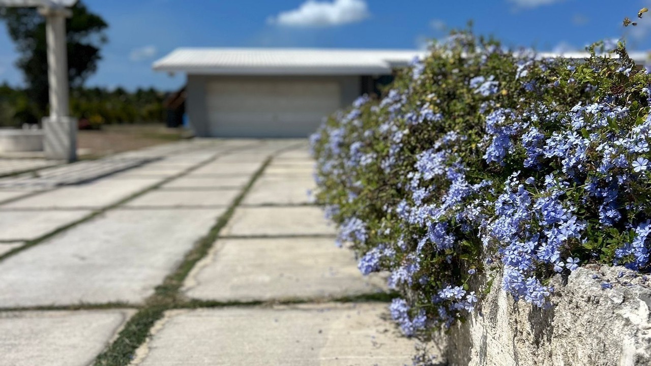 Photo of Outdoor in Callendar