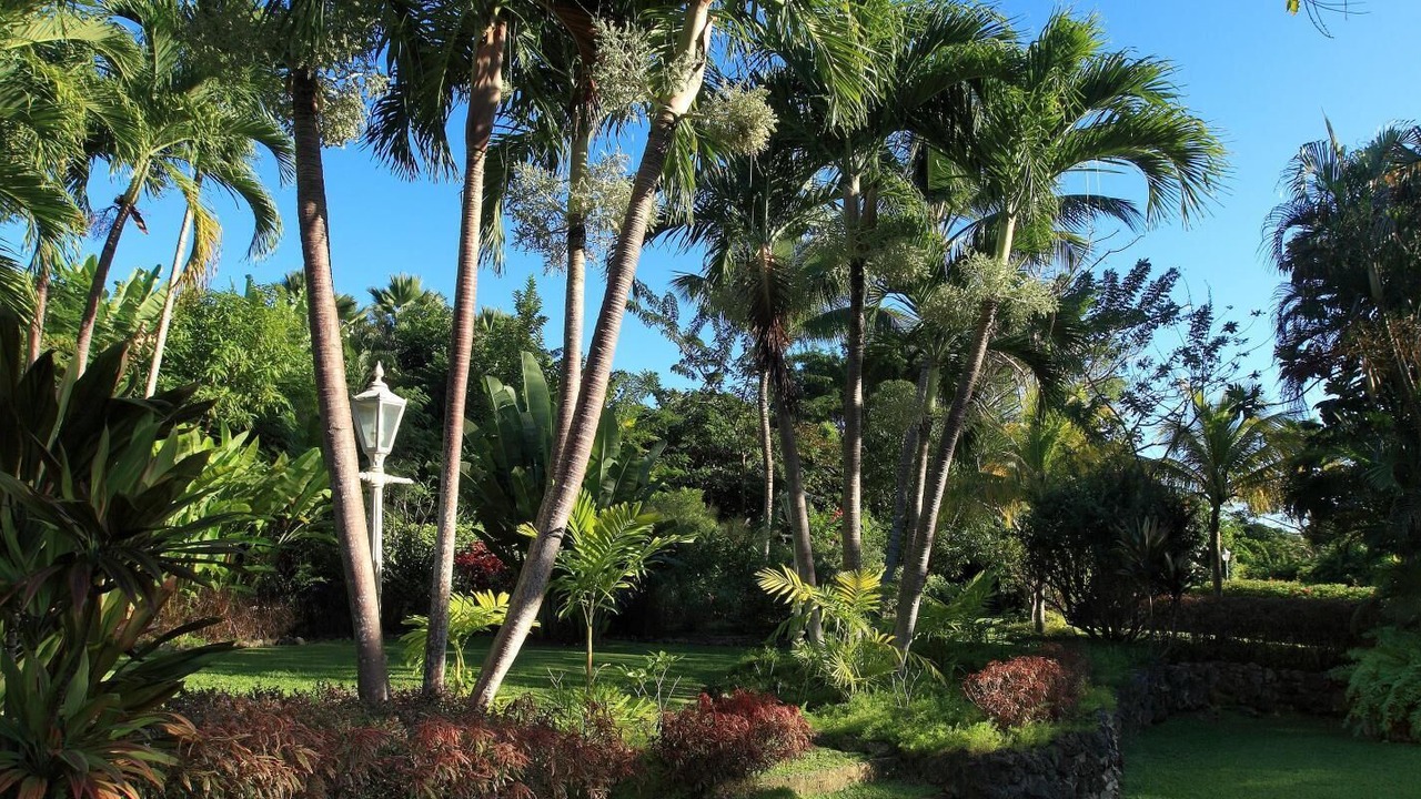 Photo of Outdoor in Paynes Bay