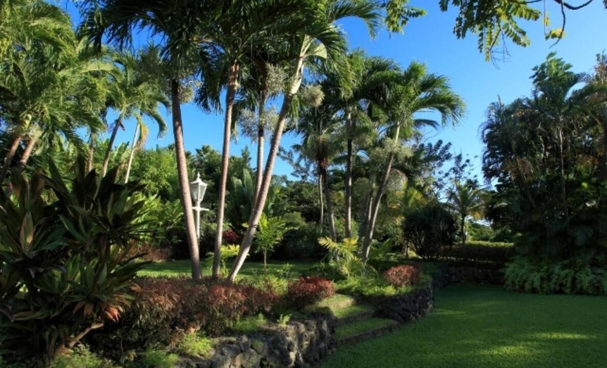 Photo of Outdoor in Paynes Bay