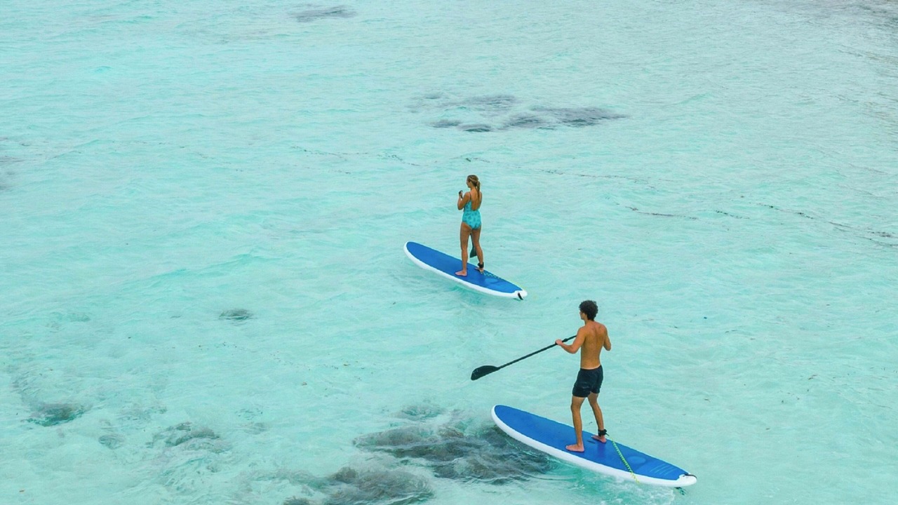 Photo of Others in Old Trees Bay