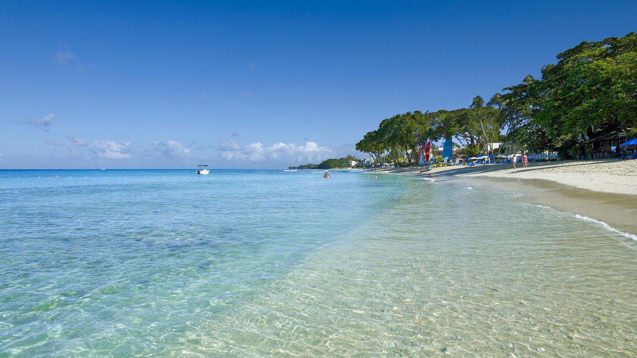 Photo of Others in Old Trees Bay