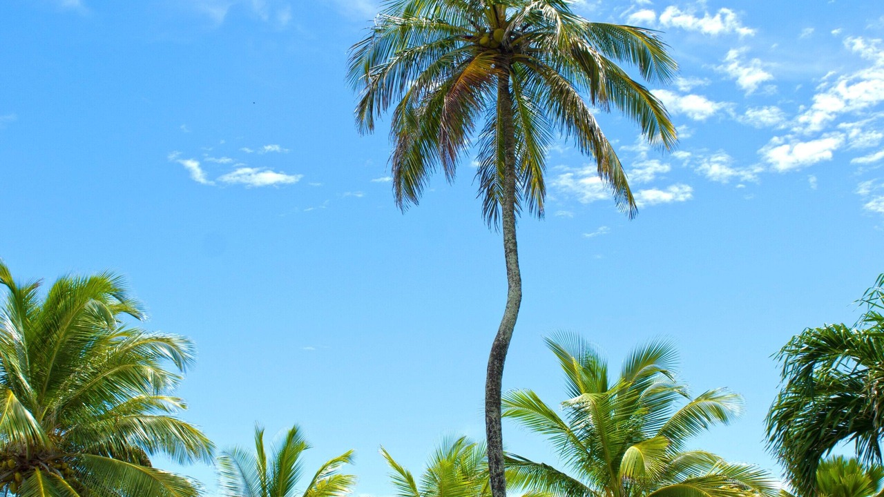 Photo of Outdoor in Maxwell