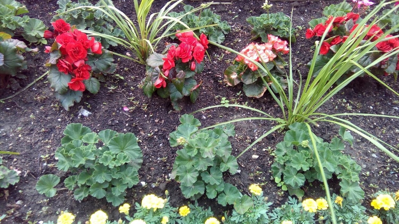 Photo of Outdoor in Douglas