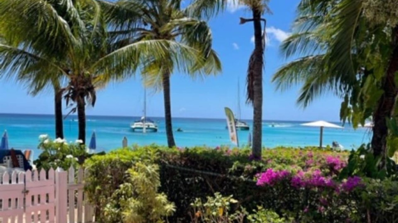 Photo of Outdoor in Old Trees Bay