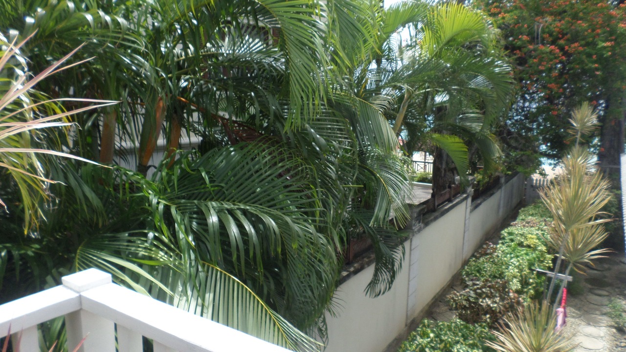 Photo of Patio Balcony in Old Trees Bay