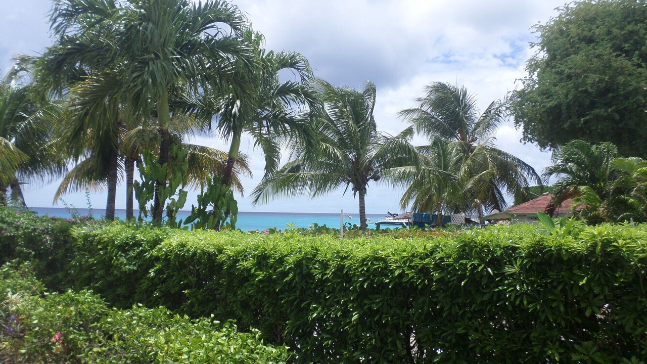 Photo of Outdoor in Old Trees Bay