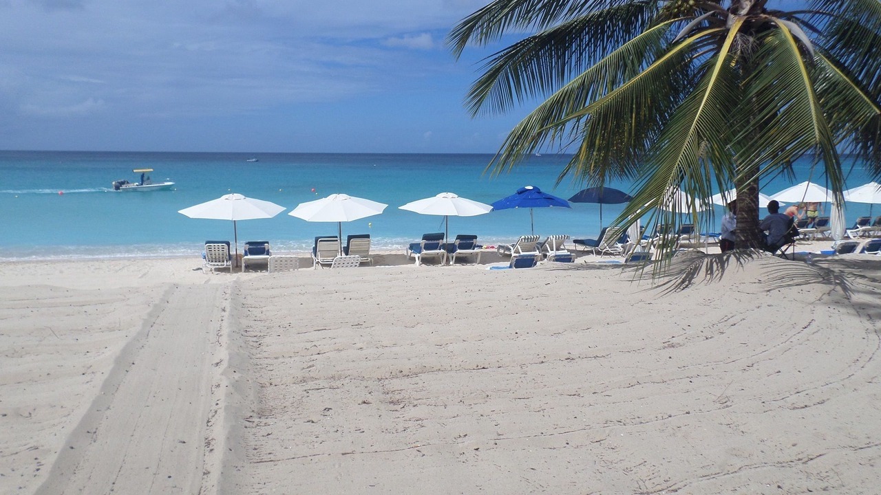 Photo of Outdoor in Old Trees Bay