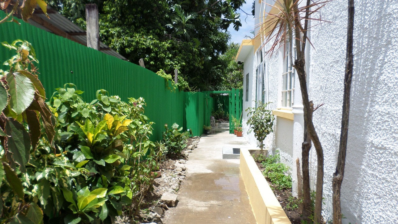 Photo of Outdoor in Old Trees Bay