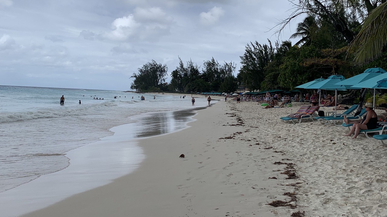Photo of Others in Bridgetown