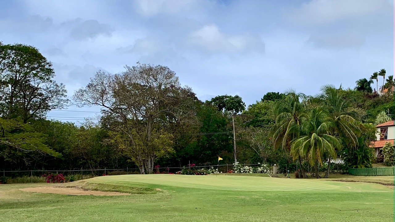Photo of Others in Bridgetown