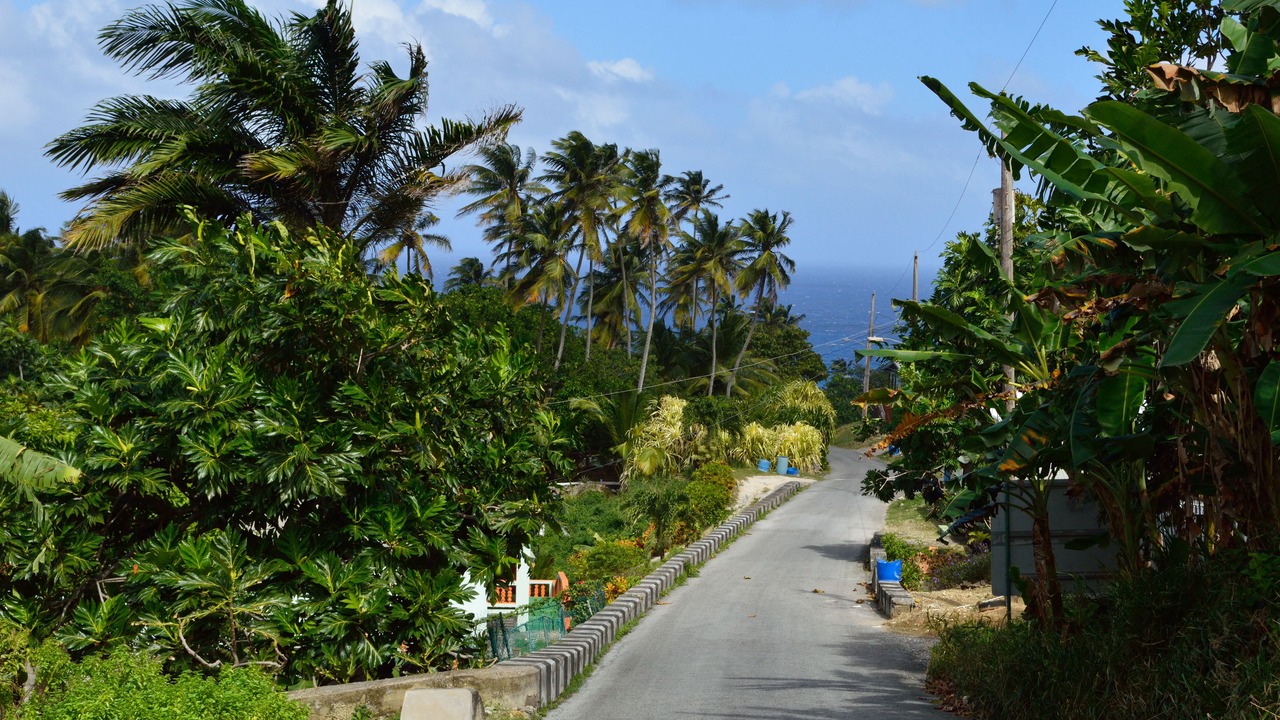 Photo of Others in Silver Sands