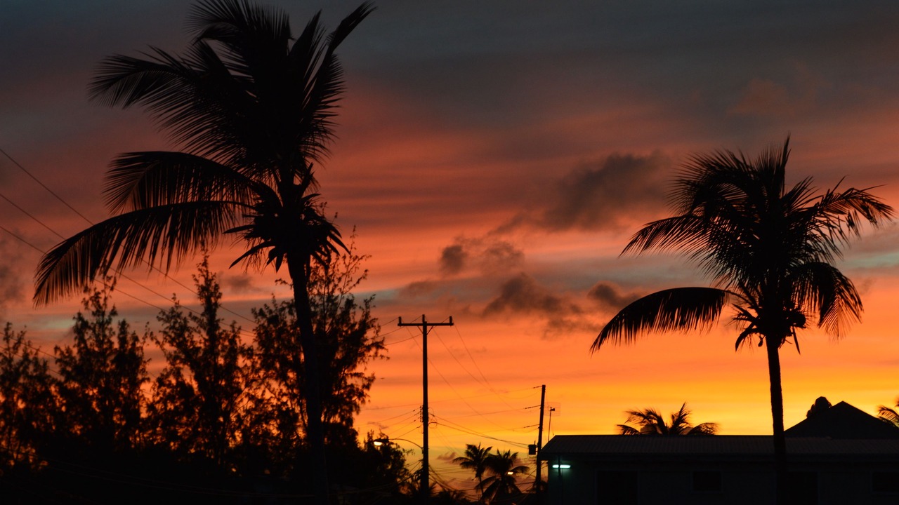 Photo of Outdoor in Silver Sands