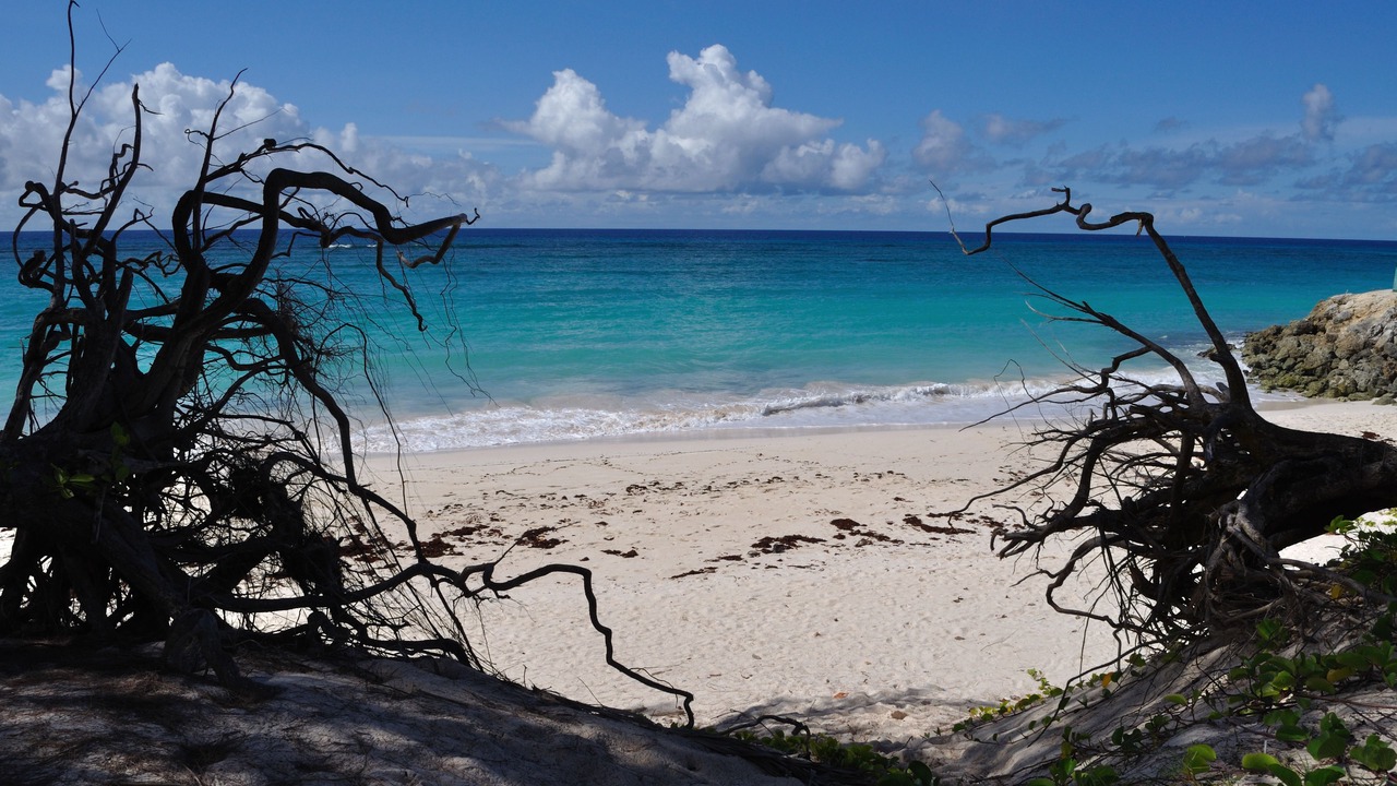 Photo of Outdoor in Silver Sands