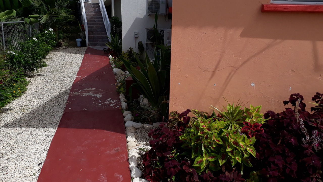 Photo of Outdoor in Oistins