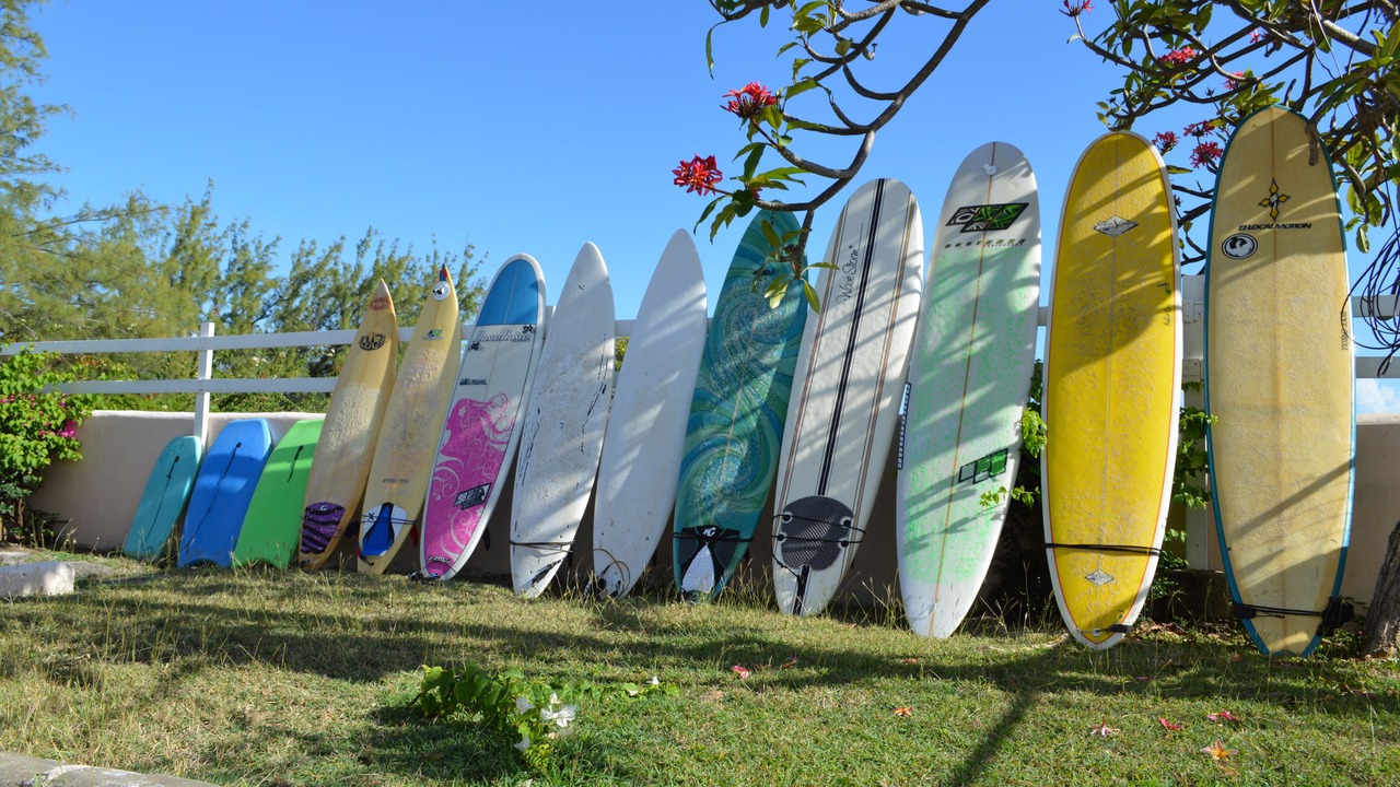 Photo of Outdoor in Silver Sands