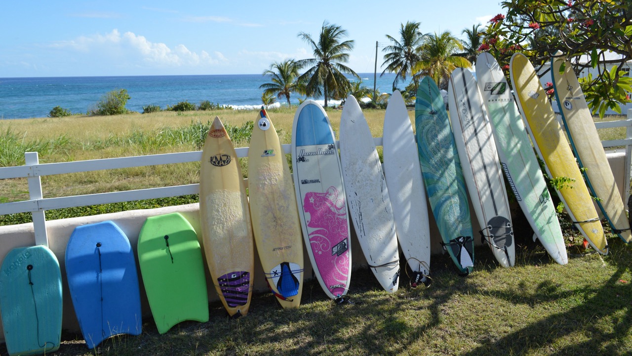Photo of Others in Silver Sands