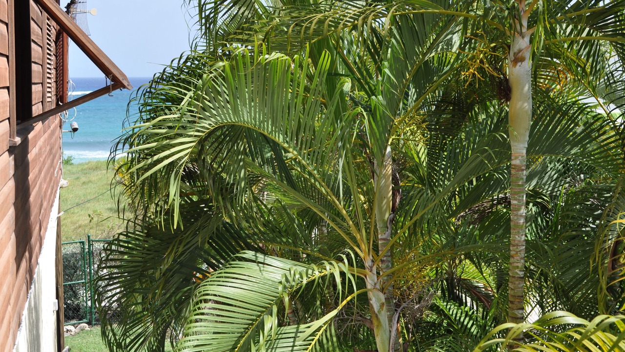 Photo of Outdoor in Silver Sands