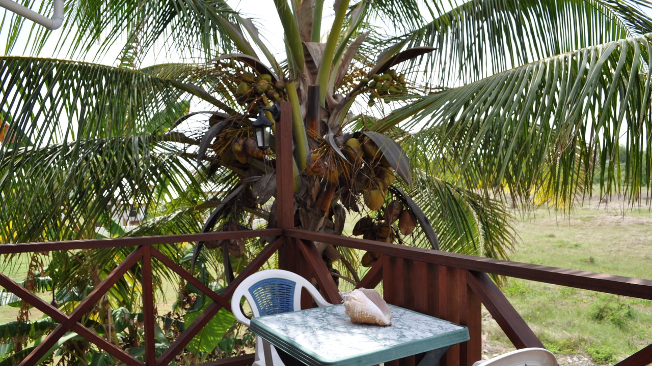 Photo of Outdoor in Silver Sands